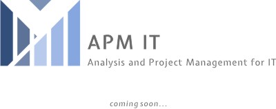 APM IT